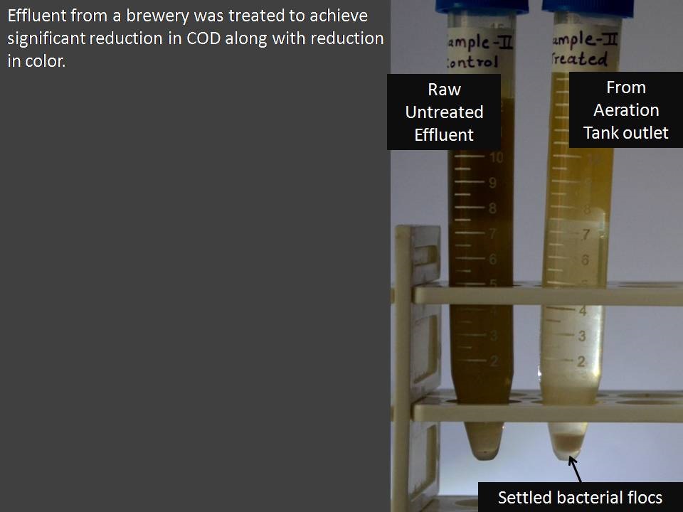 COD Reduction in Brewery Effluent